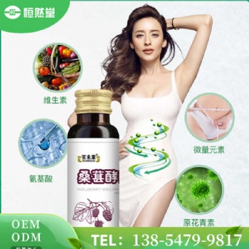 百未草桑葚酵素一件代发现货供应 OEM贴牌