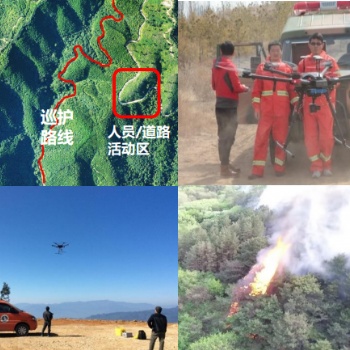 无人机在林业中的运用