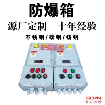 BXM防爆配电箱控制柜仪表接线箱