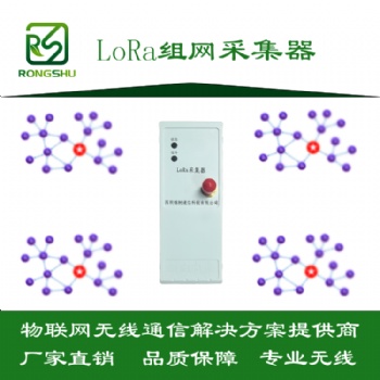 LoRa采集器-RS485接口无线组网-深圳榕树通信科技有限公司