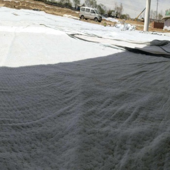 牡丹江膨润土防水毯规格齐全价格优惠