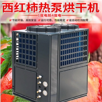 番茄烘干机果蔬干燥机节能热泵烘干设备