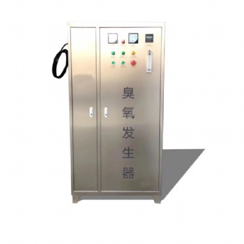 山东壁挂式臭氧发生器RC