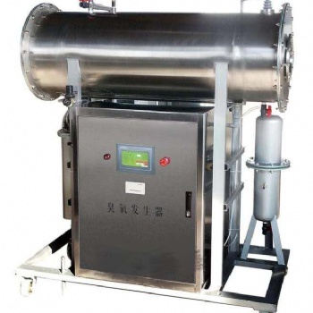 山东内置式臭氧发生器RC