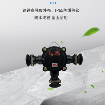 益煤矿用隔爆型低压电缆接线盒BHD2-40/660(380)-3T通低压接线端子