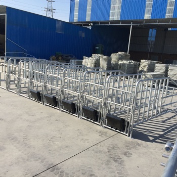 养猪设备 限位栏 定位栏 生产厂家