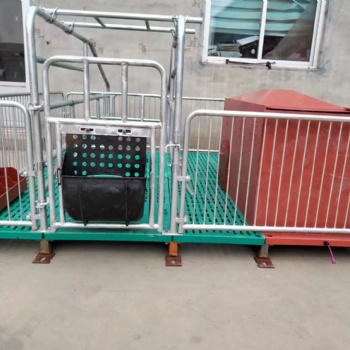 养猪设备 单体母猪产床 设备齐全