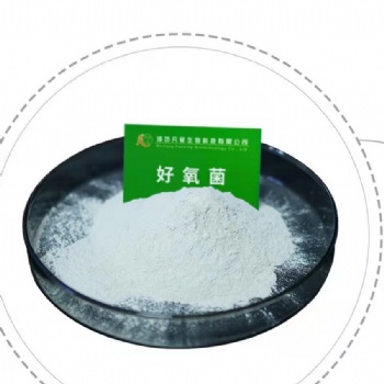 潍坊凡星生物生化池菌剂-污水处理菌剂