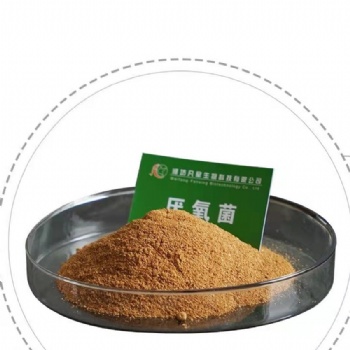 厌氧菌在污水处理上投加在厌氧池主要是改进厌氧池内发酵环境