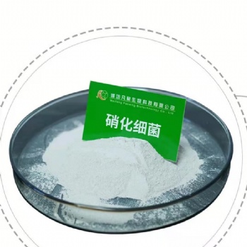 潍坊凡星生物生化池菌剂-硝化菌