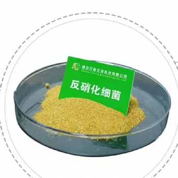 潍坊凡星生物生化池菌剂-反硝化菌