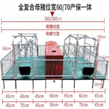 加高母猪产床 保育床两用设备 河北厂家