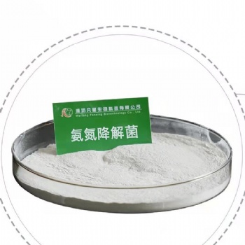 潍坊凡星生物生化池菌剂-氨氮降解菌