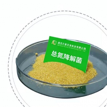潍坊凡星生物生化池菌剂-总氮降解菌