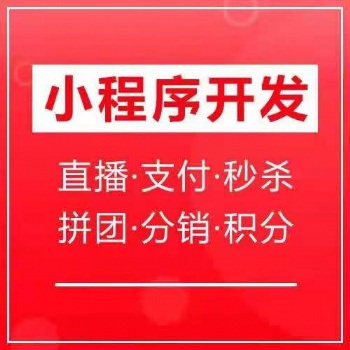 山西桦森信/软件开发流程