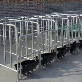 育肥母猪定位栏 保育栏 定位栏养殖设备