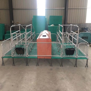 种猪场复合板猪床 母猪产床养猪设备2.4米产床供应厂家