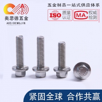 10.9级外六角法兰面螺栓加大帽螺杆法兰螺丝钉M5M6M8M10M12M14M16