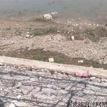 河北瑞宏绿滨垫大型生产厂家