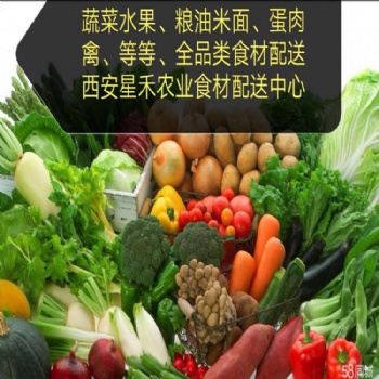 西安幼儿园 企事业单位蔬菜配送