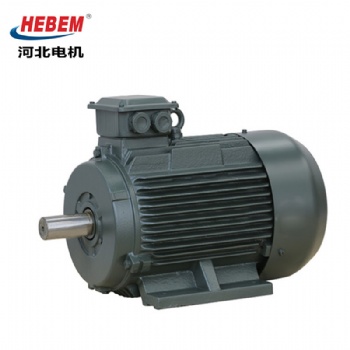 HEBEM河北电机股份有限公司YE3-90S-6电机 0.75KW 380V冠生电机三相异步电动机