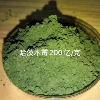 山东厂家生产哈茨木霉作用