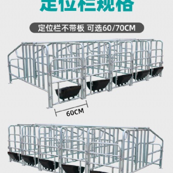 落地式定位栏 母猪定位栏 养猪场限位栏 60cm70cm栏宽