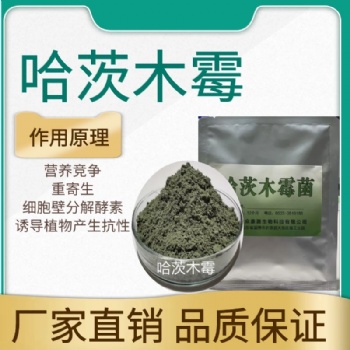 哈茨木霉 大姜种植 草莓种植用菌种