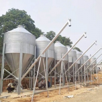 猪场自动储存饲料塔 定时定量送料 材质坚固耐用