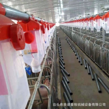 猪场自动化供料系统 自动化喂料线 母猪喂料线