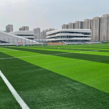 运动型人工草坪铺设足球场地面翻新