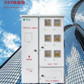 浙江杭升科技DBX电表箱