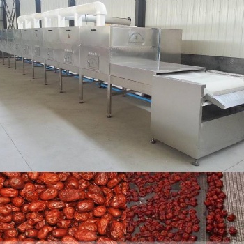 微波红枣干燥机,农副产品微波杀菌杀虫设备