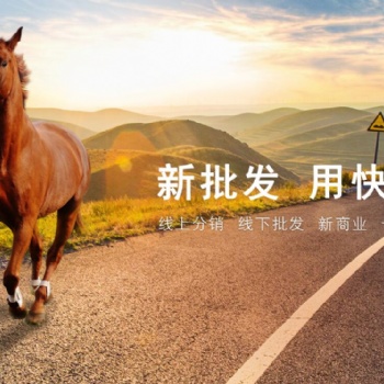 青州管家婆软件快马批发软件