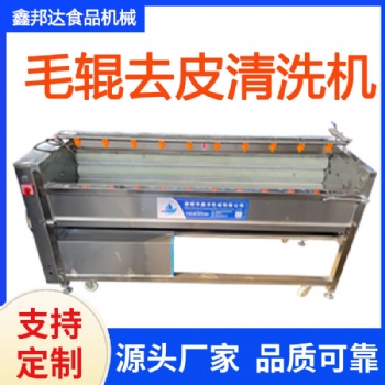 土豆去皮毛辊清洗机 胡萝卜清洗设备 大姜毛辊清洗机