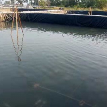 防渗土工膜大型蓄水池建设猪场污水池工程防渗土工膜