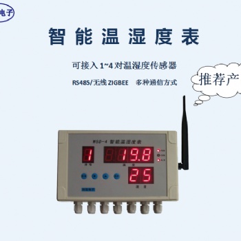 WSD-4无线温湿度显示仪