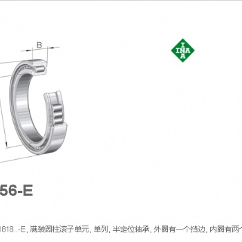 代理德国INA轴承SL181856-E-C3