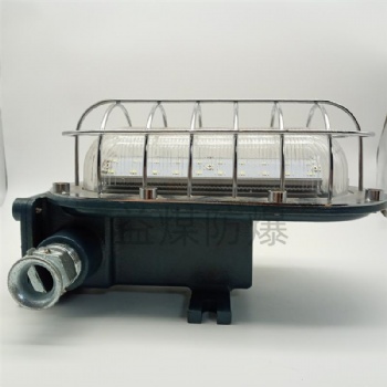 矿用隔爆型LED支架灯 液压支架移动照明灯 DGC18/127L（A）