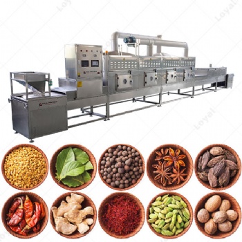厂家供应 蔬果脱水微波干燥机 农副产品微波烘干机 马铃薯烘干机