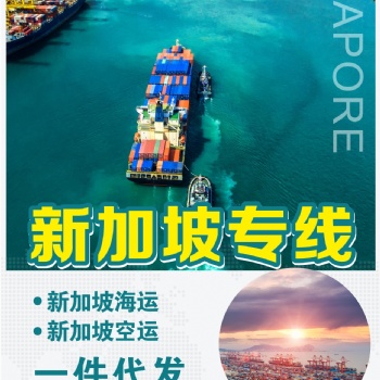 货物中国出口到新加坡海运物流