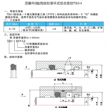 齿形滑环式组合密封TB3-I车氏密封