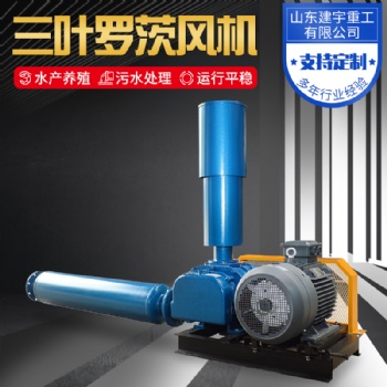 建宇重工三叶罗茨风机 污水处理 水产增氧
