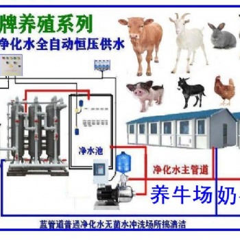 养殖机械井水过滤器河水净水机原水处理设备养牛场奶牛场机械化奶牛场饮水设备