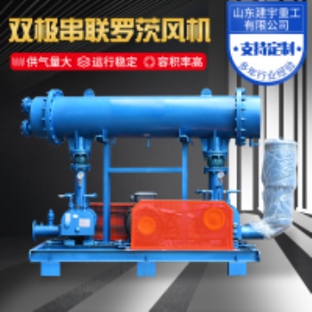 建宇重工双极串联罗茨风机