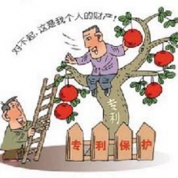 提供商标/专利/软件著作全程办理