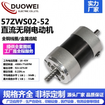 57ZWS02-52直流无刷电动机