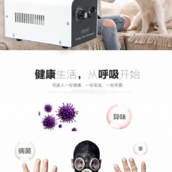 家庭型臭氧空气净化机
