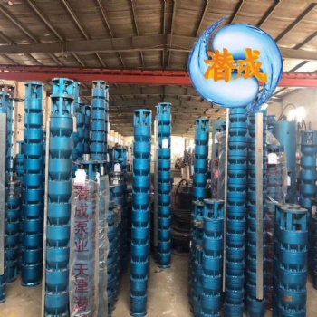 潜水泵的安装方法与注意事项 天津潜成泵业