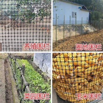 大量批发养殖网玉米网